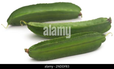 Haricots blancs frais et biologiques sur fond blanc Banque D'Images