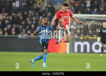 Denis Odoi du Club et Goncalo Ramos de Benfica se battent pour le ballon lors d'un match de football entre le Club belge Brugge KV et le Sport portugais Lisboa e Benfica, mercredi 15 février 2023 à Bruges, la première partie du tour 16 de la compétition de la Ligue des champions de l'UEFA. BELGA PHOTO BRUNO FAHY Banque D'Images