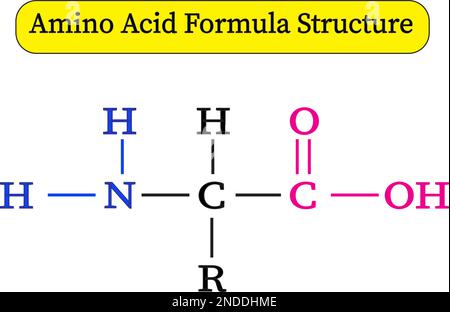 La formule des acides aminés, également connue sous le nom de formule Saltpeter ou formule nitrate de potasse, est expliquée dans cet article Illustration de Vecteur