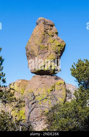 Scenci Paysage d'hiver dans le monument national de Chiricahua Arizona Banque D'Images