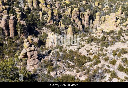 Scenci Paysage d'hiver dans le monument national de Chiricahua Arizona Banque D'Images