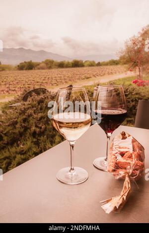 Verres de vin rouge et blanc donnant sur le vignoble Banque D'Images