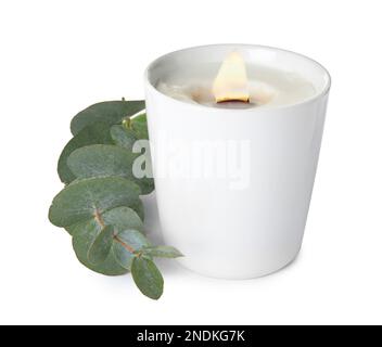 Bougie aromatique avec mèche en bois et branche d'eucalyptus sur fond blanc Banque D'Images