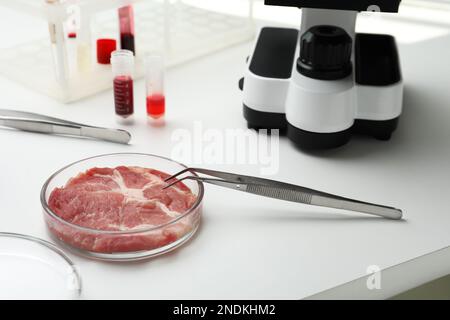 Échantillon de viande de culture sur table de laboratoire blanche Banque D'Images