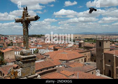 Crow volant vers crucifix de la tour, San Francisco Javier Church, Plaza de San Jorge, Cáceres, Extremadura, Espagne, Europe Banque D'Images