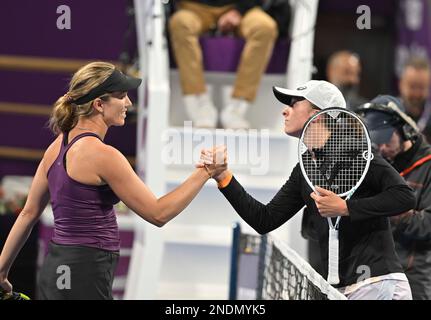 Doha, Qatar. 15th févr. 2023. IGA Swiatek (R), de Pologne, se serre la main avec Danielle Collins, des États-Unis, après le premier tour de match de 16 au WTA500 Qatar Open 2023 à Doha, au Qatar, le 15 février 2023. Credit: Nikku/Xinhua/Alay Live News Banque D'Images