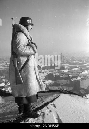 Un soldat du régiment SS Totenkopf de 10th (portant un manteau de peau de mouton) en garde sur le toit du château royal de Cracovie. Source Nac.gov.pl Banque D'Images