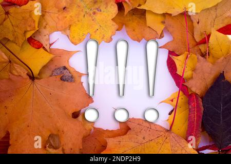 Feuilles d'automne, objets avec un point d'exclamation. Motifs naturels, motifs colorés. Banque D'Images