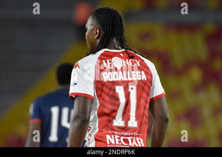 Hugo Rodallega de Santa Fe pendant le match de la ligue BetPlay Dimayor entre Independiente Santa Fe et Deportivo Pasto au stade El Campin à Bogota, Colombie sur 14 février 2023. Photo de: Cristian Bayona/long Visual Press Banque D'Images