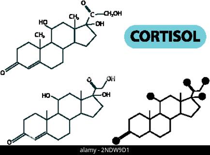 Illustration de la structure moléculaire du cortisol Illustration de Vecteur