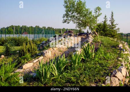 Glissez dans les Alpes au printemps sur une parcelle de jardin avec des plantes et des pierres pendant la journée au milieu de l'herbe. Banque D'Images