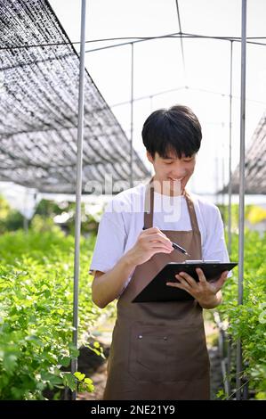 Joyeux jeune asiatique jardinier ou propriétaire de ferme hydroponique examinant la qualité de ses légumes biologiques, en enregistrant dans son presse-papiers, travaillant dans Banque D'Images