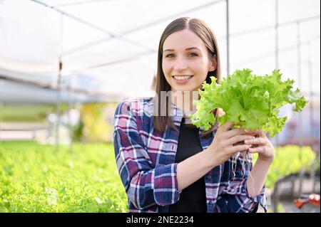 Attrayante et heureuse paysanne ou jardinière caucasienne est dans la serre tenant une salade de légumes frais bio, souriant et regardant le venu Banque D'Images