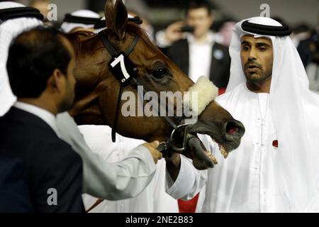 Al Shemali, the winning horse of the Dubai Duty Free race of the Dubai World Cup seen, at the Meydan horse race track in Dubai, United Arab Emirates, Saturday March 27, 2010. (AP Photo/Francois Steenkamp)