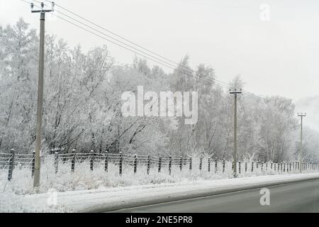 Clôtures, lignes électriques et forêt couvertes de gel le long de l'autoroute d'hiver.Soft focus Banque D'Images