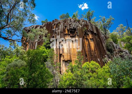 Belvédère de Sawn Rocks dans le parc national du Mont Kaputar, Nouvelle-Galles du Sud, Australie Banque D'Images