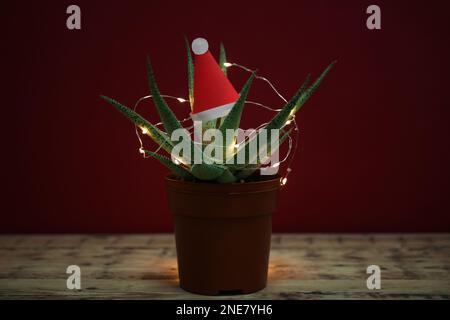 Cactus décoré de lumières féeriques et de chapeau de père noël sur une table en bois sur fond rouge Banque D'Images