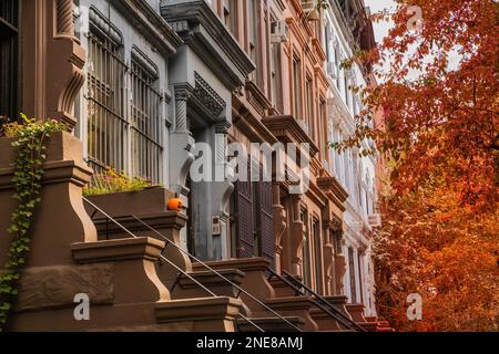 Maisons haut de gamme de New York avec des arbres colorés Banque D'Images