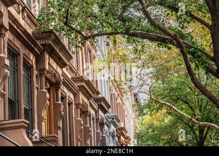 Rangée de belles maisons haut de gamme de New York avec des arbres verts Banque D'Images