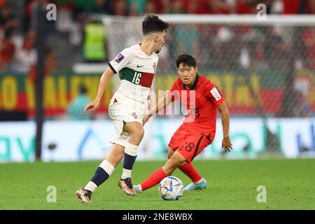 AL RAYYAN, QATAR - DÉCEMBRE 02 : Vitinha lors de la coupe du monde de la FIFA, Qatar 2022, match du Groupe H entre la République de Corée et le Portugal au stade de la ville d'éducation sur 02 décembre 2022 à Al Rayyan, Qatar. (Photo par MB Media) Banque D'Images