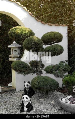 Magnifique Bonsai avec sculptures panda dans le jardin Banque D'Images