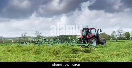 L'herbe fraîchement tondue est prête pour l'ensilage dans une ferme laitière, Dumfries, Écosse, Royaume-Uni. Banque D'Images