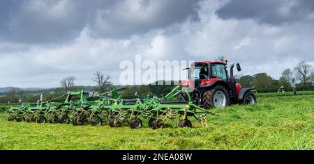 L'herbe fraîchement tondue est prête pour l'ensilage dans une ferme laitière, Dumfries, Écosse, Royaume-Uni. Banque D'Images