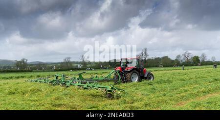 L'herbe fraîchement tondue est prête pour l'ensilage dans une ferme laitière, Dumfries, Écosse, Royaume-Uni. Banque D'Images