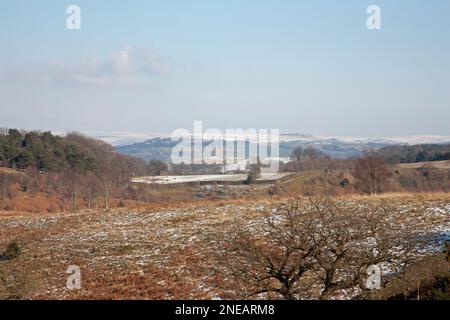 Vue distante de la cage au Parc de Lyme un jour d'hiver lumineux comme vu de Lyme Handley près de Poynton plus élevé Cheshire Angleterre Banque D'Images