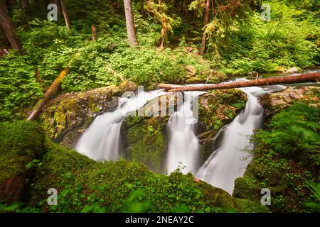 Sol Duc falls in Olympic National Park, Washington, USA. Banque D'Images