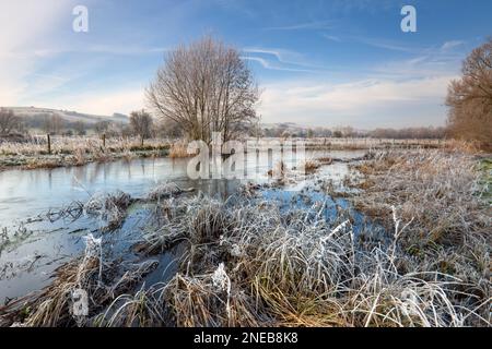 La rivière Wylye à Little Langford dans le Wiltshire, le matin de janvier gelé. Banque D'Images