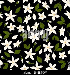 Motif fleurs de jasmin sans coutures. Fleurs blanches texturées dessinées à la main feuilles et bourgeons sur fond noir Banque D'Images
