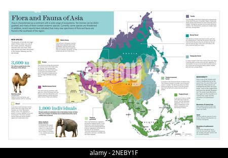 Infographie des différents écosystèmes du continent asiatique et de la flore et de la faune typiques de chacun. [QuarkXPress (.qxp); Adobe InDesign (.indd); 5669x3661]. Banque D'Images