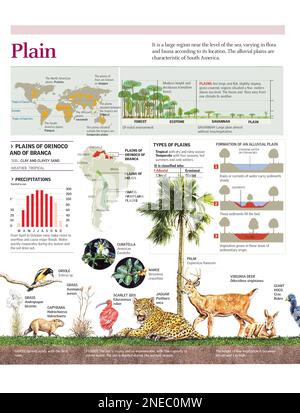 Infographies du biome de l'Orinoco et de la Branca Llanos et des différents types de plaines existant partout dans le monde. [Adobe Illustrator (.ai); 2480x3248]. Banque D'Images