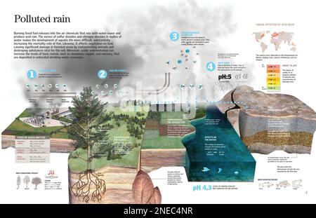 Infographies des divers facteurs qui produisent les pluies acides et leurs effets sur la vie naturelle. [QuarkXPress (.qxp); 6259x4015]. Banque D'Images
