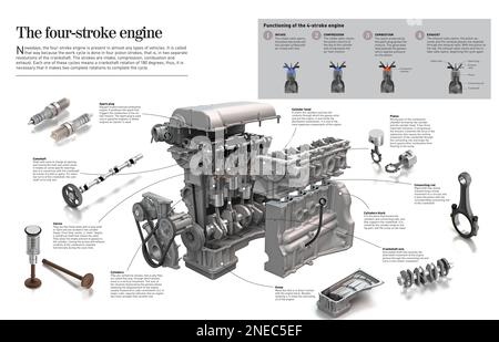 Infographie sur le moteur quatre temps et les pièces et pièces qui le composent. [Adobe InDesign (.indd); 6259x4015]. Banque D'Images