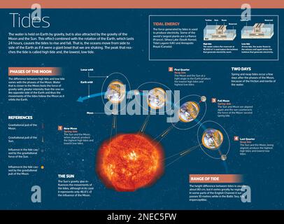 Infographie sur les marées, c'est-à-dire les mouvements de montée et de descente périodiques et alternatifs de l'eau de mer, produits par l'attraction du Soleil et de la Lune. [Adobe InDesign (.indd); 4795x3543]. Banque D'Images