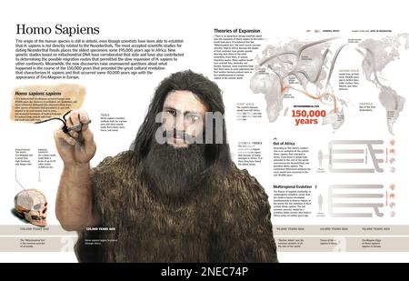 Infographie de l'Homo sapiens sapiens et de son expansion à travers le monde. [QuarkXPress (.qxp); 6259x4015]. Banque D'Images