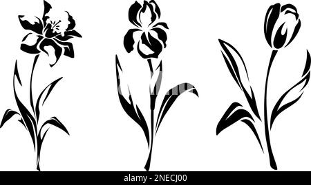 Narcisse, iris et fleurs de tulipe. Ensemble de silhouettes noires de fleurs isolées sur fond blanc. Illustration vectorielle Illustration de Vecteur