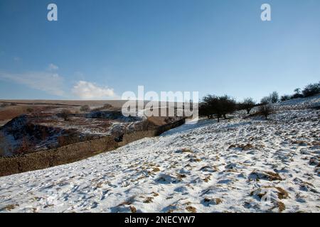 Vue d'hiver Lyme Handley Parc de Lyme Cheshire Angleterre Banque D'Images