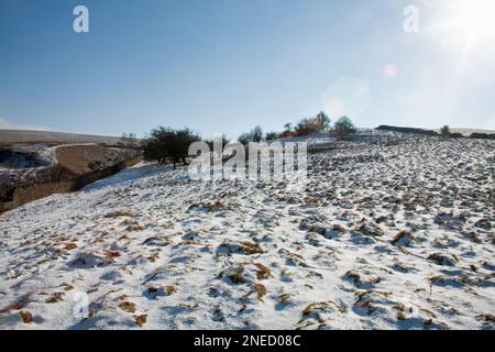 Vue d'hiver Lyme Handley Parc de Lyme Cheshire Angleterre Banque D'Images