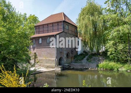 Moulin de Plagemann, moulin à eau de grain restauré avec scierie, Metelen, Muensterland, Rhénanie-du-Nord-Westphalie, Allemagne Banque D'Images