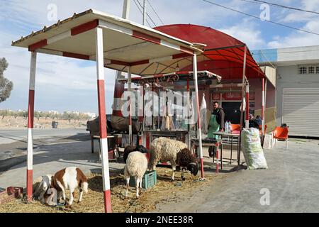 Stand de bord de route vendant de la viande de mouton fraîche et cuite en Tunisie Banque D'Images