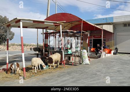 Stand de bord de route vendant de la viande de mouton fraîche et cuite en Tunisie Banque D'Images