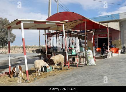 Stand de bord de route vendant de la viande de mouton fraîche et cuite en Tunisie Banque D'Images