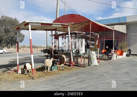 Stand de bord de route vendant de la viande de mouton fraîche et cuite en Tunisie Banque D'Images