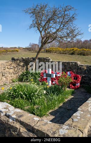 ASHDOWN FOREST, EAST SUSSEX/UK - 24 MARS : vue de la tombe de l'Airman dans la forêt d'Ashdown East Sussex le 24 mars 2020 Banque D'Images