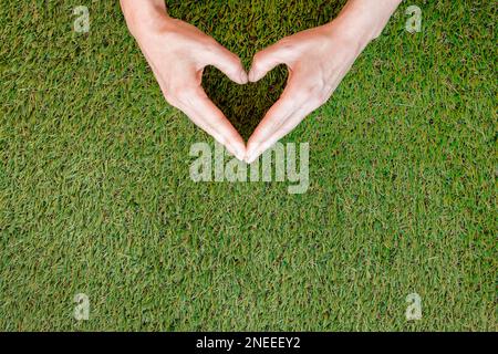 personne faisant du cœur ses mains herbe. Photo haute résolution Banque D'Images