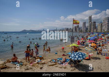 Beaucoup de touristes sur la plage en face des gratte-ciel, Playa Levante, Benidorm, province d'Alicante, Costa Blanca, Espagne Banque D'Images