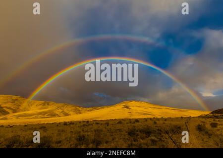 Arc-en-ciel double sur des contreforts dorés le long de la route 205 dans le comté de Harney, Oregon, États-Unis Banque D'Images